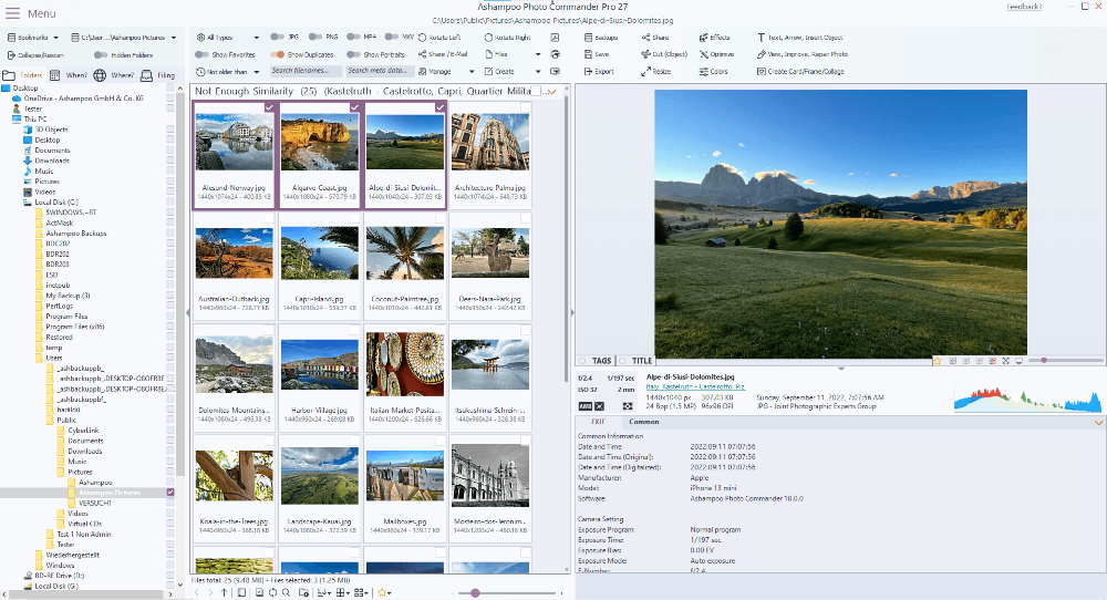 Ashampoo Photo Commander Pro 27 (1 PC - Lifetime) ESD